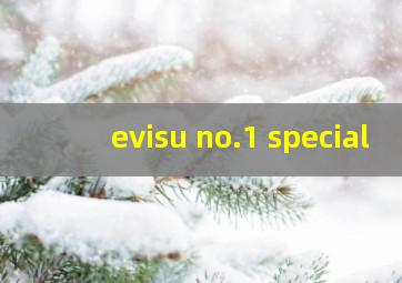 evisu no.1 special